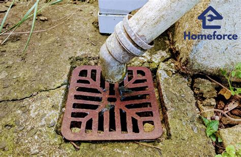 home depot drain trap|outside drain overflowing.